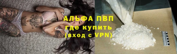 СК Зеленокумск