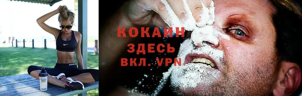 СК Зеленокумск