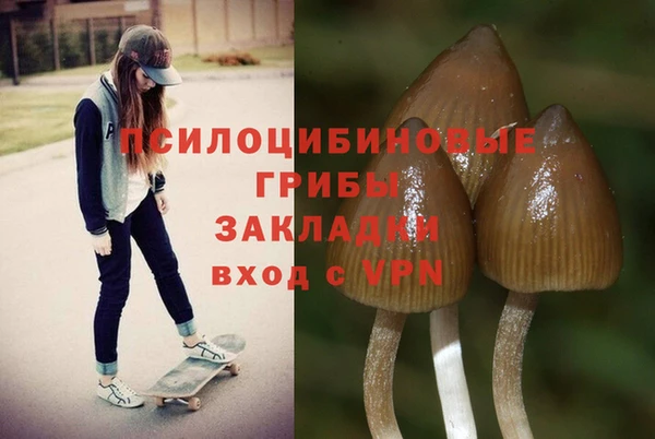 скорость Зеленодольск