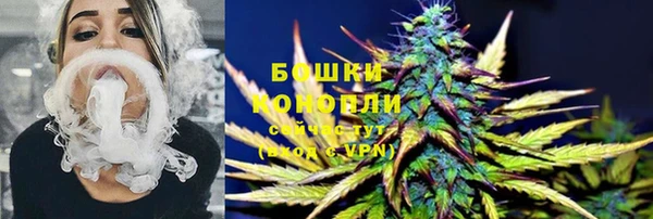 СК Зеленокумск