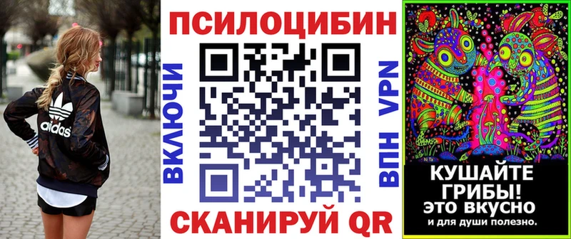 Галлюциногенные грибы Psilocybe  mega как зайти  Заринск 
