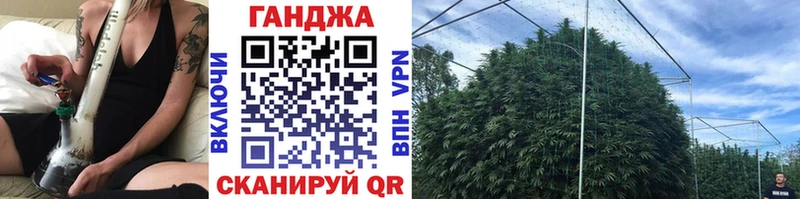 Каннабис план Заринск